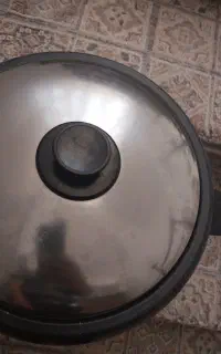 پلوپز برقی ۱۲نفره