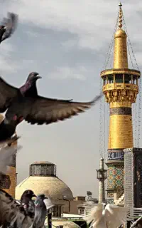 تورمشهدمقدس
