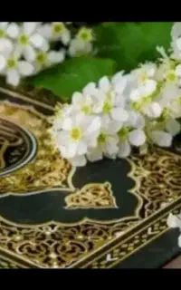 سر‌کتاب/دعا/استخاره100در100تضمینی