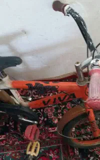دوچرخه