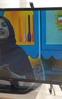 محافظ تلویزیون