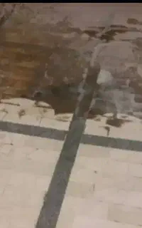 کفسابی و سنگسابی نوین ساب