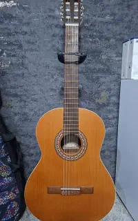 گیتار پارسی D6