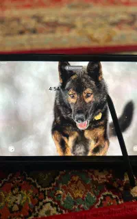 تبلت سامسونگ S8 128 سیمکارت خور با قلم