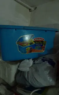 جانونی وسطل در دار بزرگ برنج