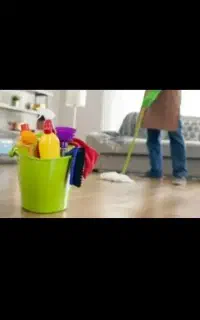 نیروی نظافت وکاربلد