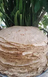 نیازمند خانم باسلیقه برای پخت نان تیری
