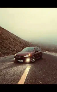 206 تیپ 5 سفارش مدیران