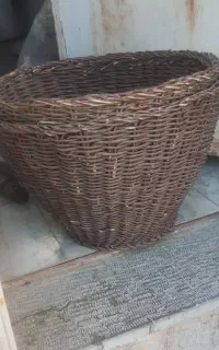 قولینه