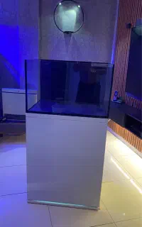 اکواریوم اب شور ریملس مشابه نو
