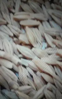 جو محلی