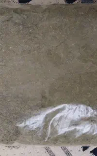 پودر آذربه و گل گاو زبان خشک شده برا دمنوش