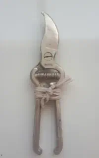 قیچی باغبانی هرس شاخه