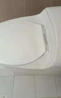 توالت فرنگی در حد