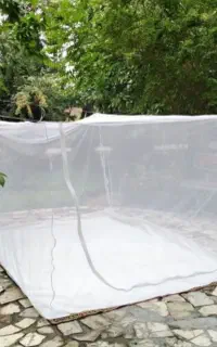 دوخت پشه بند