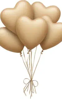 هدیه نصف نصف