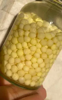 حلزون و تخم حلزون