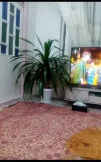 گل سرسبز