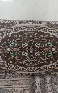 پشتی سنتی نونو هست