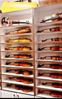 فروش و ارسال  انواع ویولن