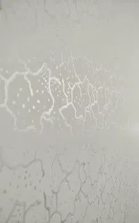 رنگ