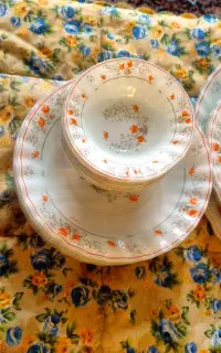 سرویس نهار خوری