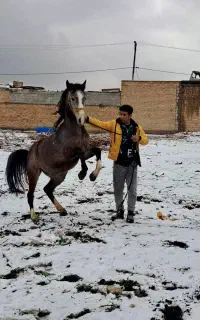 کره ماده