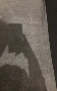 موکت
