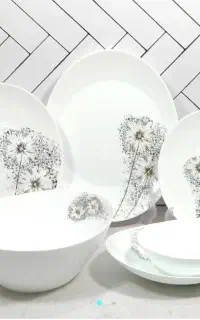 آرکوپال بیضی فرانسوا