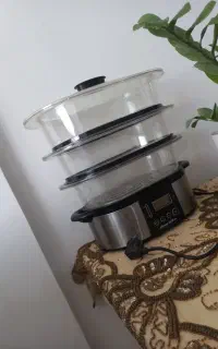 بخار پز