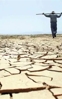 استخدام برای باغبانی و کشاورزی