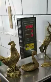 خروس اردک طاووس آنتیک قدیمی