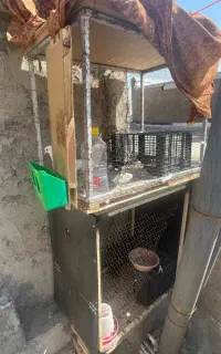 دو عدد قفس بزرگ مخصوص پرنده