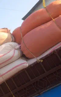 کاه نخود