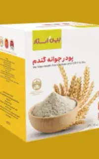 سبوس جوانه گندم