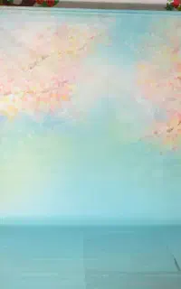 پرده فون عکاسی سیاه و چاپی
