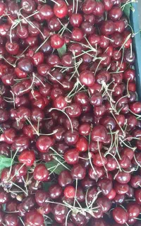 گیلاس ارگانیک برای مصرف خانگی خوراکی کمپوت و مربا