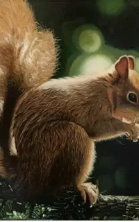 آموزش نقاشی و خوشنویسی