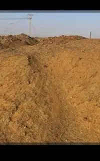 کود حیوانی
