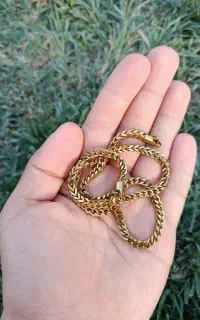 گردنبند طلایی رنگ ثابت