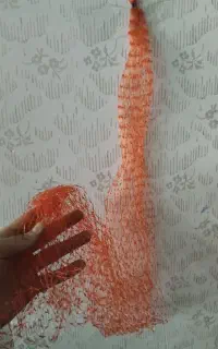 تعدادی توری پرتقال بزرگ