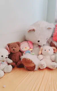 تعدادی عروسک یکجا برای فروش