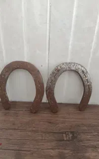 نعل اسب