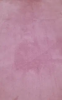 پالاز موکت
