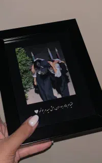 قاب موزیکال