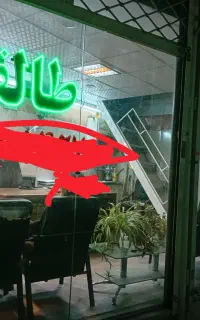 جنگل وطالقانگردی