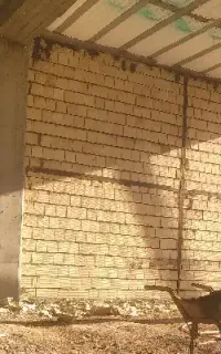 بنا،استاد کار