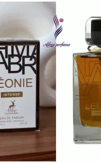 ایوسن لورن لیبر اینتنس الحمبرا عطر ادکلن اورجینال