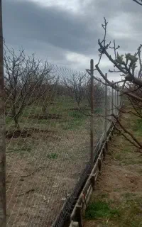 فنس کشی باغ به صورت حرفه ای،بنایی و...