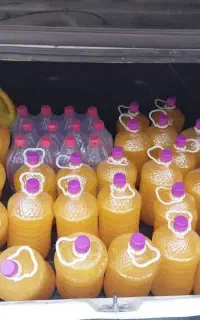 شامپور اقتصادی دولیترشبنم وگلرنگ